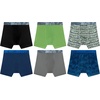 Hanes Boys’ Moves Performance Underwear Boxer Brief, 6-Pack, Mesh Pouch Moisture Wicking Boxer Briefs(Royalty Blue Print  Black  Native Fern Green Print  Native Fern Green  Medium Grey  Royalty Blue)