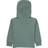 Hanes Baby Pure Comfort French Terry Hoodie, Infant Full-zip Hooded Jacket, Unisex, 2-pack(Green)