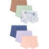 Hanes Girls’ Period Underwear Hipsters, Boxer Briefs, Boyshorts, 4 or 6 Pack, Comfort Period Panties, Moderate Protection(Lavender  Violet  Purple  Pink  Earthen Tan  Celadon)