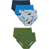 Hanes Boys’ Potty Training Underwear, Light Leaks Toddler Cotton Briefs and Boxer Briefs, Multi-pack(Green/Dinos – 5 Pack)