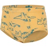 Hanes Toddler Boys’ Organic Cotton Underwear, Pure Comfort 100% Cotton Boxer Briefs Available, 10 & 7 Pack(Green  White  Gold  Seafoam)