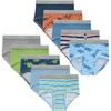 Blue  Orange Dino  Stripes  Green