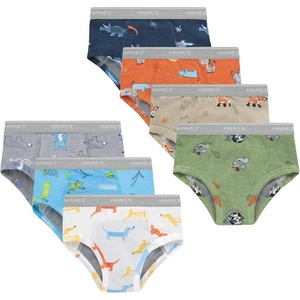 Hanes Boys’ Potty Training Underwear, Light Leaks Toddler Cotton Briefs and Boxer Briefs, Multi-pack(Briefs – Days of Week – 7 Pack)