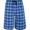 Hanes Men’s Woven Shorts(Blue & Grey)