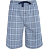 Hanes Men’s Woven Shorts(Blue & Grey)
