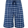Hanes Men’s Woven Shorts(Navy & Red)