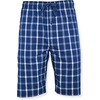 Hanes Men’s Woven Shorts(Navy/Red Gingham)