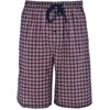 Hanes Men’s Woven Shorts(Red Navy Plaid)