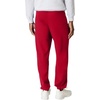 Hanes Men’s Ecosmart Best Sweatpants, Athletic Lounge Pants with C”ed Cuffs(Deep Red – 1 Pack)