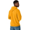 Hanes Men’s Hoodie – EcoSmart Fleece Hooded Sweatshirt for Men & Women – Midweight Fleece – Big & Tall Available(Gold)