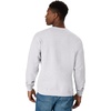 Hanes Men’s Sweatshirt, EcoSmart Fleece Crewneck Sweatshirt, Big & Tall Available, 1 or 2-Pack(Ash)