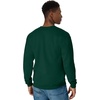 Hanes Men’s Sweatshirt, EcoSmart Fleece Crewneck Sweatshirt, Big & Tall Available, 1 or 2-Pack(Deep Forest)