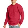 Hanes Men’s Sweatshirt, EcoSmart Fleece Crewneck Sweatshirt, Big & Tall Available, 1 or 2-Pack(Deep Red – 2 Pack)