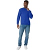 Hanes Men’s Sweatshirt, EcoSmart Fleece Crewneck Sweatshirt, Big & Tall Available, 1 or 2-Pack(Deep Royal)