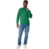 Hanes Men’s Sweatshirt, EcoSmart Fleece Crewneck Sweatshirt, Big & Tall Available, 1 or 2-Pack(Kelly Green)