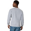 Hanes Men’s Sweatshirt, EcoSmart Fleece Crewneck Sweatshirt, Big & Tall Available, 1 or 2-Pack(Light Steel)