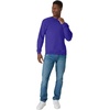 Hanes Men’s Sweatshirt, EcoSmart Fleece Crewneck Sweatshirt, Big & Tall Available, 1 or 2-Pack(Purple)