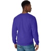 Hanes Men’s Sweatshirt, EcoSmart Fleece Crewneck Sweatshirt, Big & Tall Available, 1 or 2-Pack(Purple)