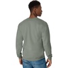 Hanes Men’s Sweatshirt, EcoSmart Fleece Crewneck Sweatshirt, Big & Tall Available, 1 or 2-Pack(Stonewashed Green)