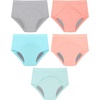 Hanes Toddler Girls’ Potty Trainer Brief, Moisture-Wicking Panty, Odor Protection Potty Trainer Underwear, 6-Pack(Coral – Heavy Leaks – 5 Pack)