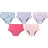 Hanes Toddler Girls’ Potty Trainer Brief, Moisture-Wicking Panty, Odor Protection Potty Trainer Underwear, 6-Pack(Pink/Purple – Heavy Leaks – 5 Pack)