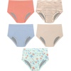 Hanes Toddler Girls’ Potty Trainer Brief, Moisture-Wicking Panty, Odor Protection Potty Trainer Underwear, 6-Pack(Tan – Heavy Leaks – 5 Pack)