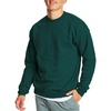 Hanes Men’s Sweatshirt, EcoSmart Fleece Crewneck Sweatshirt, Big & Tall Available, 1 or 2-Pack(Deep Forest – 1 Pack)