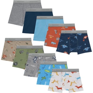 Hanes Boys’ Underwear Boxer Briefs Or Briefs Pack, 8 Or 12 Pack, Cotton Stretch Underwear for Boys & Toddler Boys(Days of the Week/Blue/Tan/Green – 10 Pack)