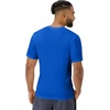 Hanes Men’s Cool Dri Performance T-Shirt, Moisture-Wicking Short Sleeve Tee, 40+ UPF Protection, 2 Or 5 Pack(Deep Royal – 2 Pack)