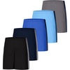 Hanes Men’s Shorts, Cool Dri® 7″ Color Blocked Short, Moisture Wicking + UPF 40 Men’s Athletic Shorts(Black/Navy/Royal/Light Blue/Graphite)
