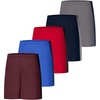Hanes Men’s Shorts, Cool Dri® 7″ Color Blocked Short, Moisture Wicking + UPF 40 Men’s Athletic Shorts(Maroon/Royal Blue/Red/Navy/Graphite)