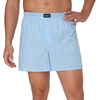 Hanes Men’s Underwear Boxers, Originals Ultimate Cotton-stretch Woven Moisture-wicking Multipack Boxer(Blue Checks and Stripes)