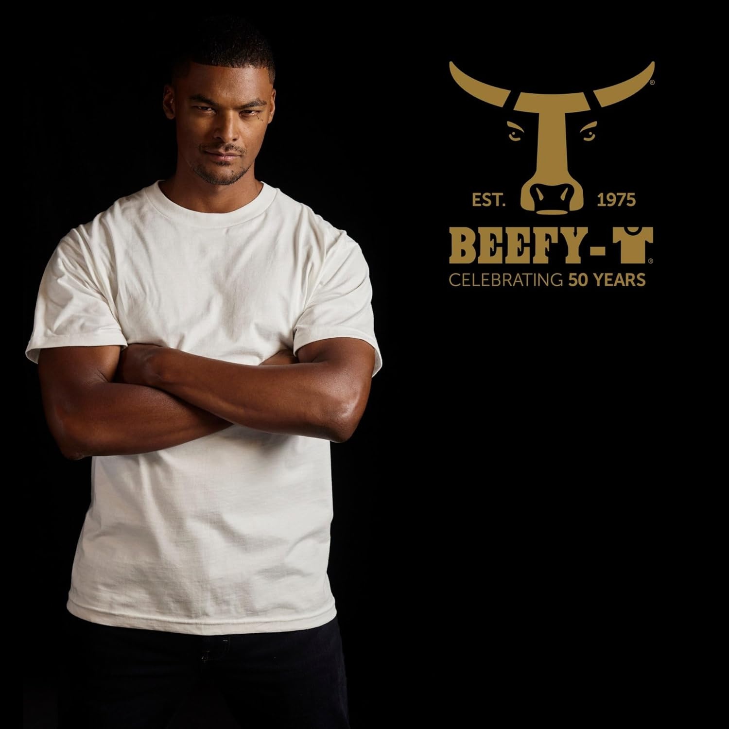 image:imageHanes Mens BeefyT TShirt Heavyweight Cotton TShirts for Men 1 or 2 Pack Mens Tees TallNavy