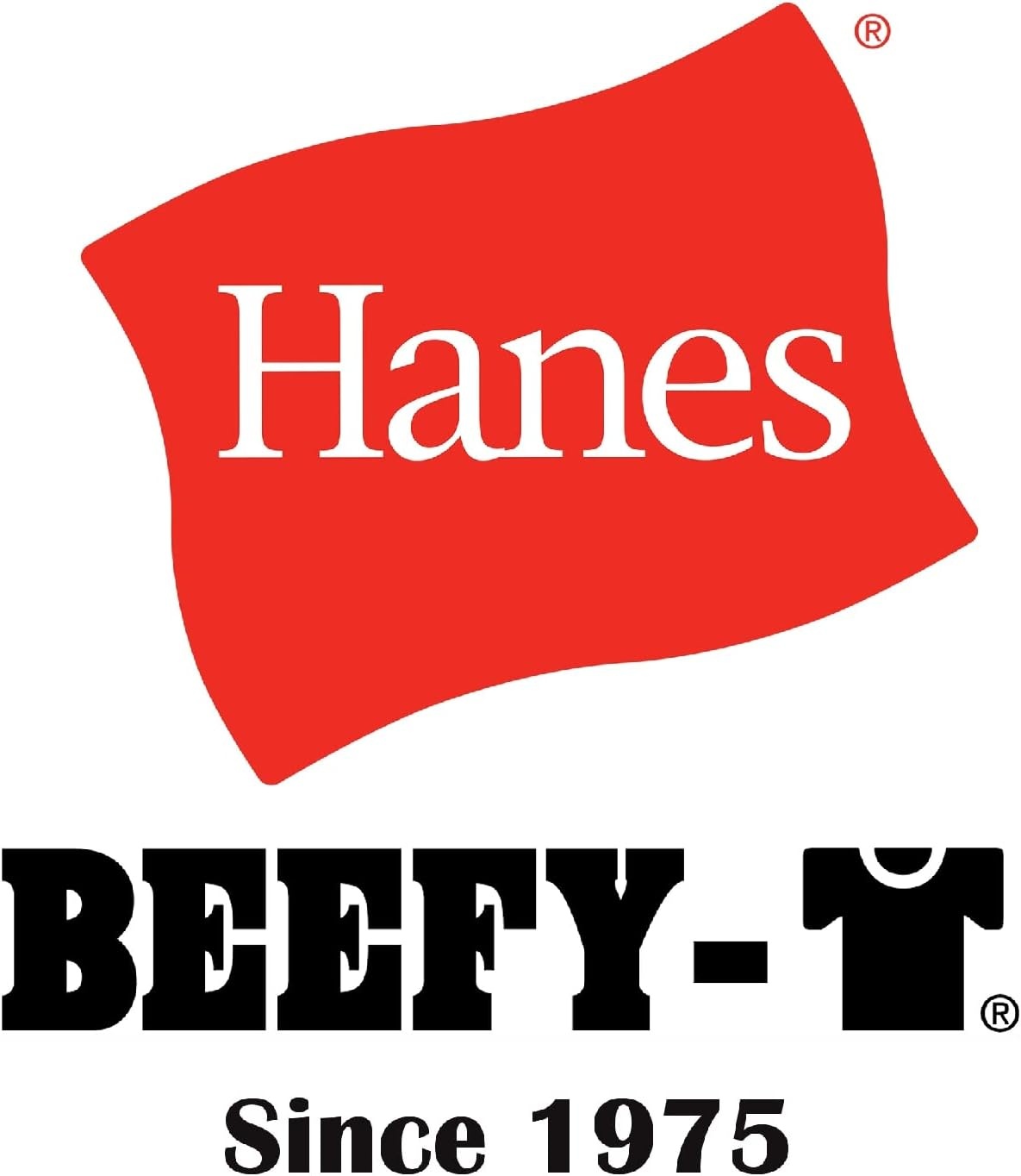 image:imageHanes Mens BeefyT TShirt Heavyweight Cotton TShirts for Men 1 or 2 Pack Mens Tees TallWhite