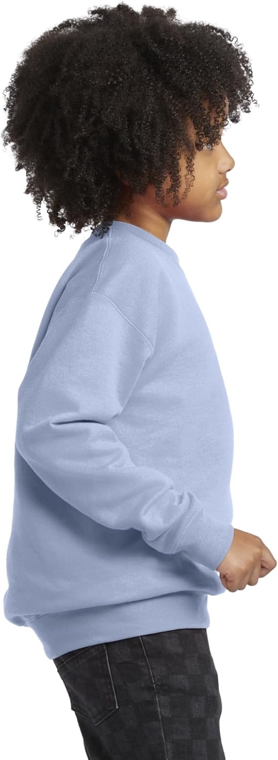image:imageHanes Boys EcoSmart Sweatshirt Cotton Crewneck Pullover Kids Fleece SweatshirtLight Blue