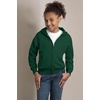 Hanes Big Boys’ Eco Smart Fleece Zip Hood, Black, Large(Deep Forest)