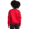 Hanes Boys’ EcoSmart Sweatshirt, Cotton Crewneck Pullover, Kids’ Fleece Sweatshirt(Deep Red)