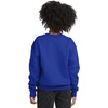 Hanes Boys’ EcoSmart Sweatshirt, Cotton Crewneck Pullover, Kids’ Fleece Sweatshirt(Deep Royal)