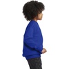Hanes Boys’ EcoSmart Sweatshirt, Cotton Crewneck Pullover, Kids’ Fleece Sweatshirt(Deep Royal)