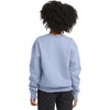 Hanes Boys’ EcoSmart Sweatshirt, Cotton Crewneck Pullover, Kids’ Fleece Sweatshirt(Light Blue)