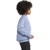 Hanes Boys’ EcoSmart Sweatshirt, Cotton Crewneck Pullover, Kids’ Fleece Sweatshirt(Light Blue)