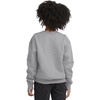 Hanes Boys’ EcoSmart Sweatshirt, Cotton Crewneck Pullover, Kids’ Fleece Sweatshirt(Light Steel)