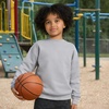 Hanes Boys’ EcoSmart Sweatshirt, Cotton Crewneck Pullover, Kids’ Fleece Sweatshirt(Light Steel)