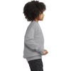 Hanes Boys’ EcoSmart Sweatshirt, Cotton Crewneck Pullover, Kids’ Fleece Sweatshirt(Light Steel)