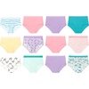 Hanes Girls’ And Toddlers Underwear, Stretch Cotton Panties, 12-pack, Briefs, Bikini and Hipsters for Girls(Pink  Yellow  Purple  Teal)