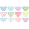Hanes Girls’ Hanes Girls’ 20-pack Tagless Cotton Brief Panties(Purple  Hearts  Flowers  Green  Blue  Pink)