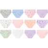 Hanes Girls’ Hanes Girls’ 20-pack Tagless Cotton Brief Panties(Purple  Pink  Flowers  Hearts  White  Stars  Green)