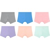 Hanes Girls and Toddlers Cartwheel Play Shorts, 4 or 6 Pack, Cotton Stretch(Blue/Gray/Purple/Pink/Turquoise/Peach – 6 Pack)