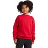Hanes Boys’ EcoSmart Sweatshirt, Cotton Crewneck Pullover, Kids’ Fleece Sweatshirt(Deep Red)