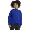 Hanes Boys’ EcoSmart Sweatshirt, Cotton Crewneck Pullover, Kids’ Fleece Sweatshirt(Deep Royal)
